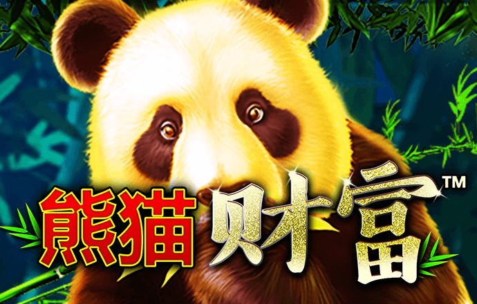 哈哈体育最新官网入口